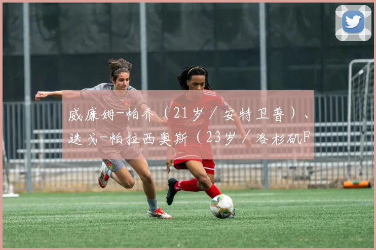 威廉姆-帕乔（21岁／安特卫普）、迭戈-帕拉西奥斯（23岁／洛杉矶FC）、杰克逊-波罗佐（22岁／特鲁瓦）、安吉洛-普雷西亚多（24岁／亨克）、菲利克斯-托雷斯（25岁／桑托斯拉古纳） - 星空体育客服中心