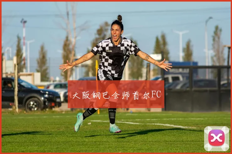 大阪钢巴会师首尔FC - 星空体育客服中心