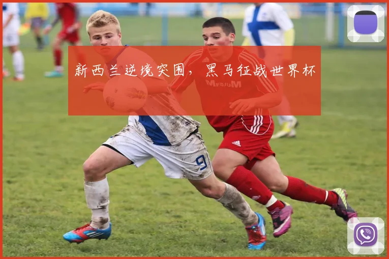 新西兰逆境突围，黑马征战世界杯 - 星空体育客服中心