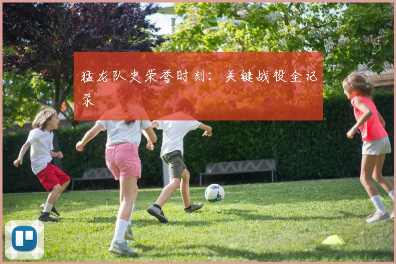 猛龙队史荣誉时刻：关键战役全记录 - 星空体育客服中心
