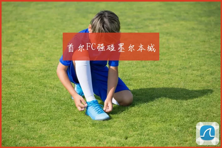 首尔FC强碰墨尔本城 - 星空体育客服中心