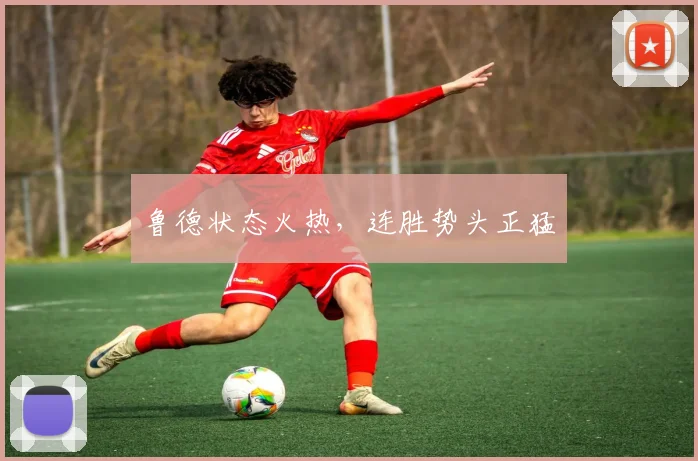 鲁德状态火热，连胜势头正猛 - 星空体育客服中心