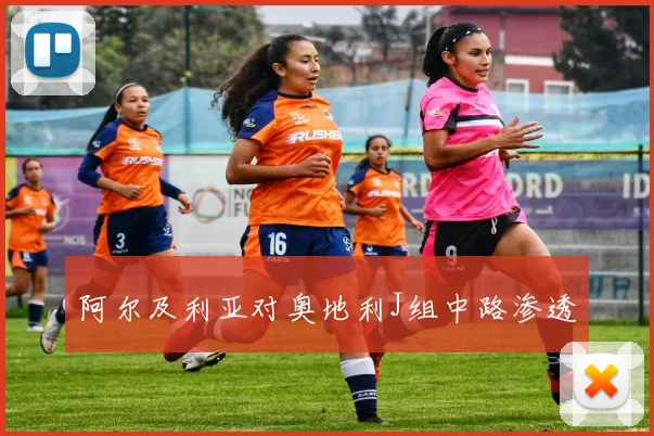 阿尔及利亚对奥地利J组中路渗透