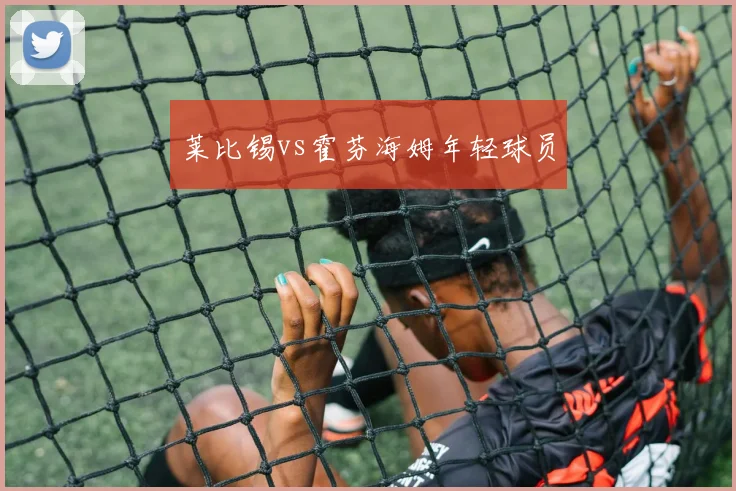 莱比锡vs霍芬海姆年轻球员