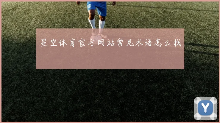 星空体育官方网站常见术语怎么找